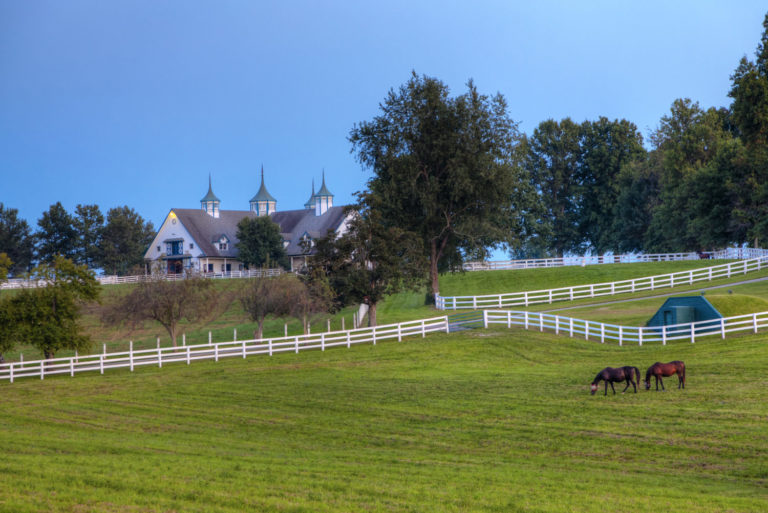 Planning, the First Step In Owning Your Dream Horse Property promo image