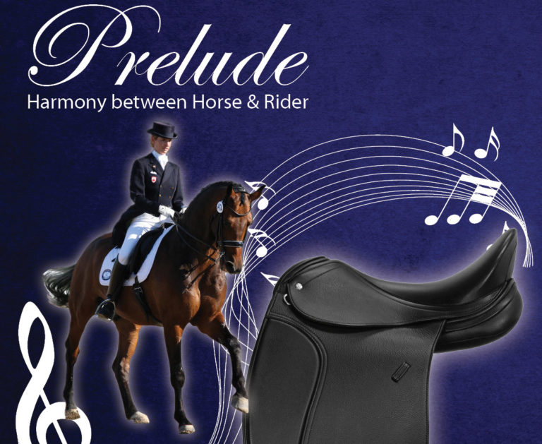 Prelude Dressage Saddle Introduced promo image