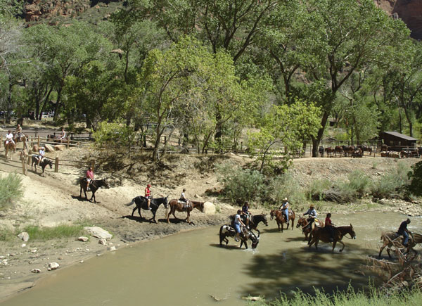 Protecting Water Crossings from Horses promo image