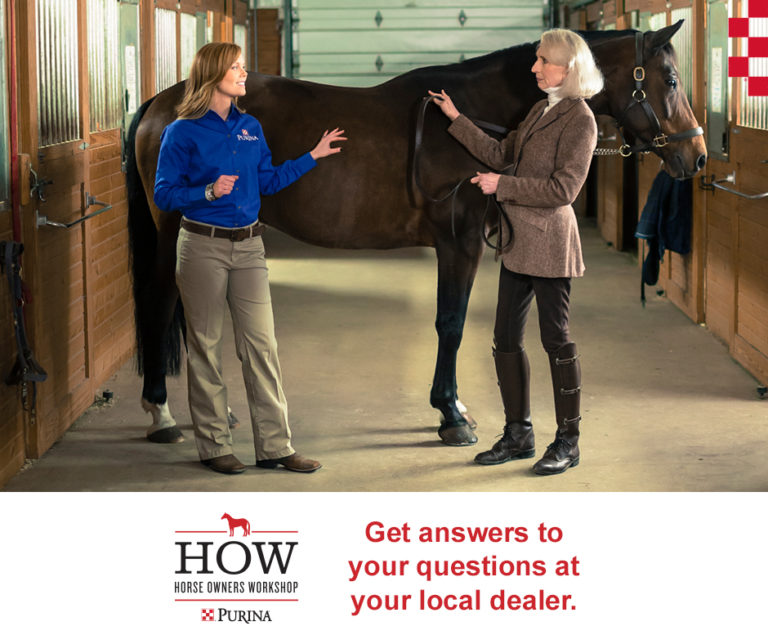 Purina Animal Nutrition Announces 2015 Horse Owner Workshop Events promo image