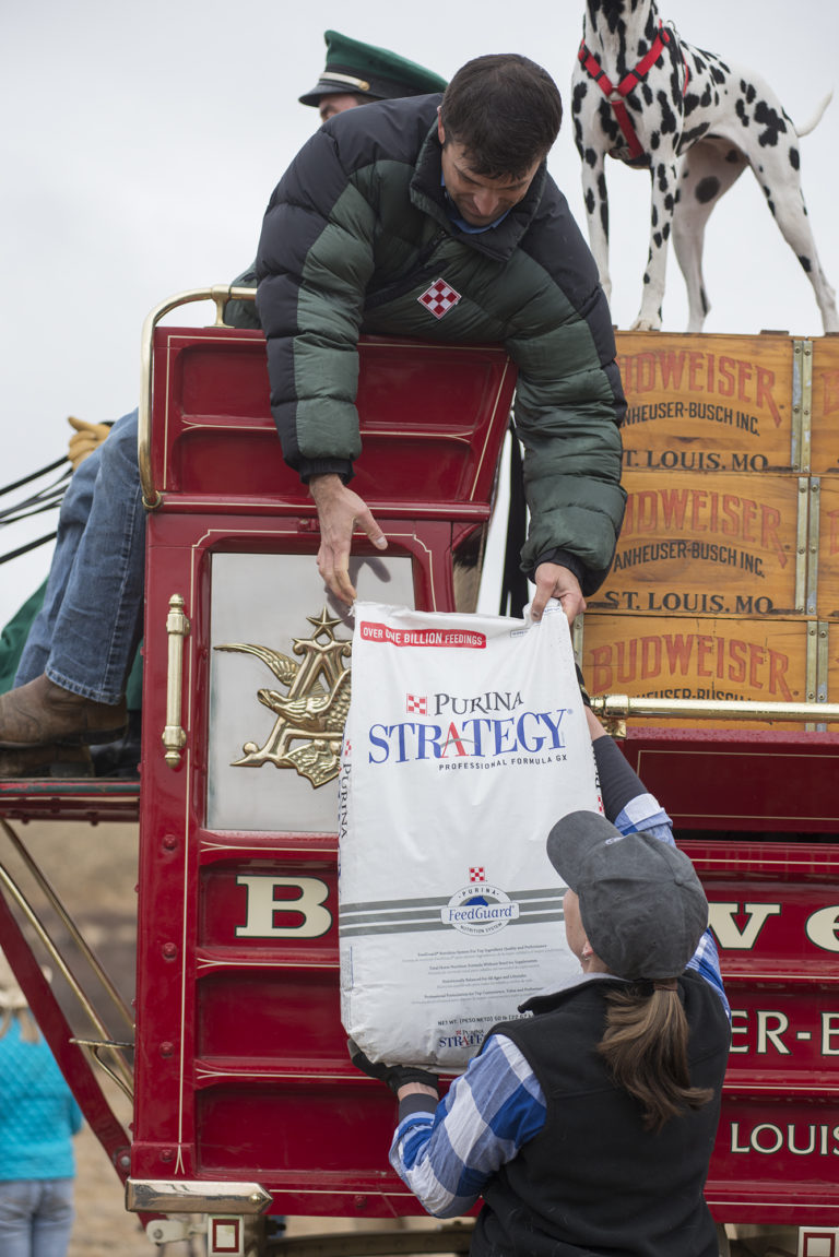 Purina Animal Nutrition Surprises Horse Rescue with Large Donation promo image