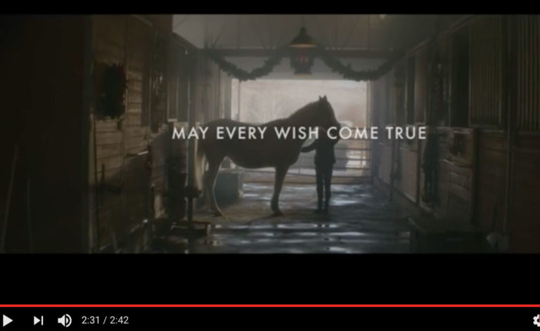 Purina Bringing Attention to Horses Needing Homes promo image