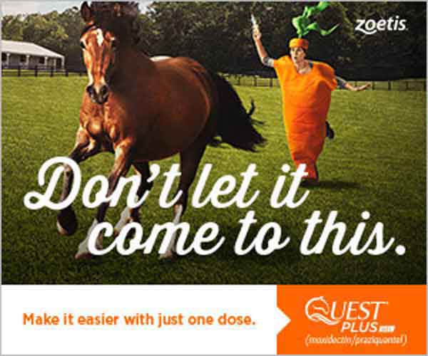 Quest-gel-ad-600