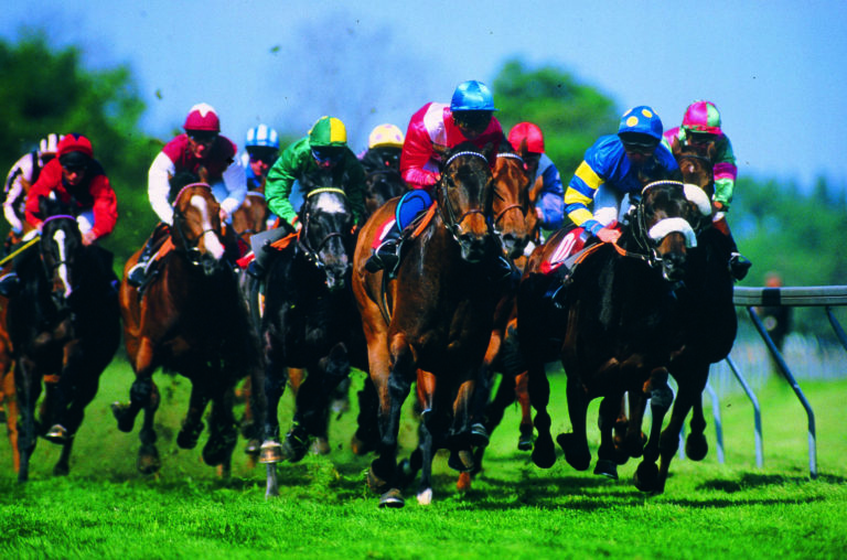 racehorses in colorful pack
