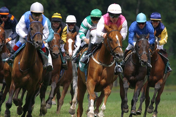 racehorses-in-race-1500
