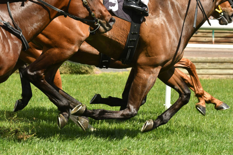 racehorses-legs-iStock-Quentin-Lang-863927546-2400