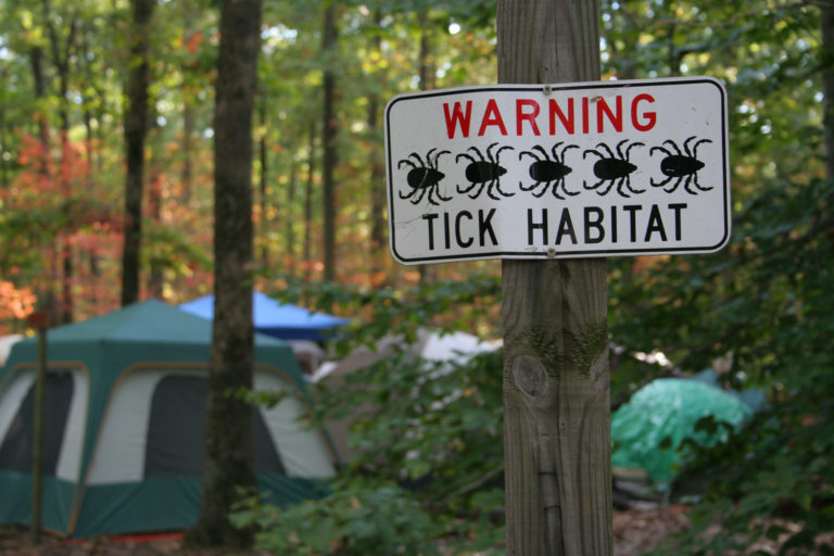 Reducing Risk from Tick-Borne Diseases promo image