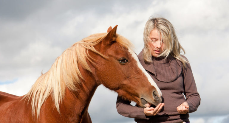 Relationship of Minerals to Insulin Resistance in Horses promo image
