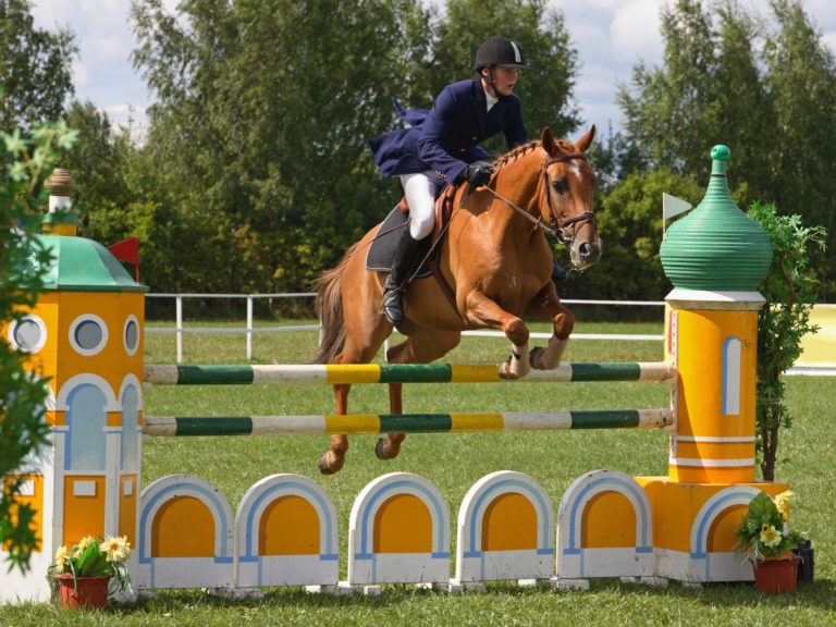 Research Delves into Show Jumper Diets promo image