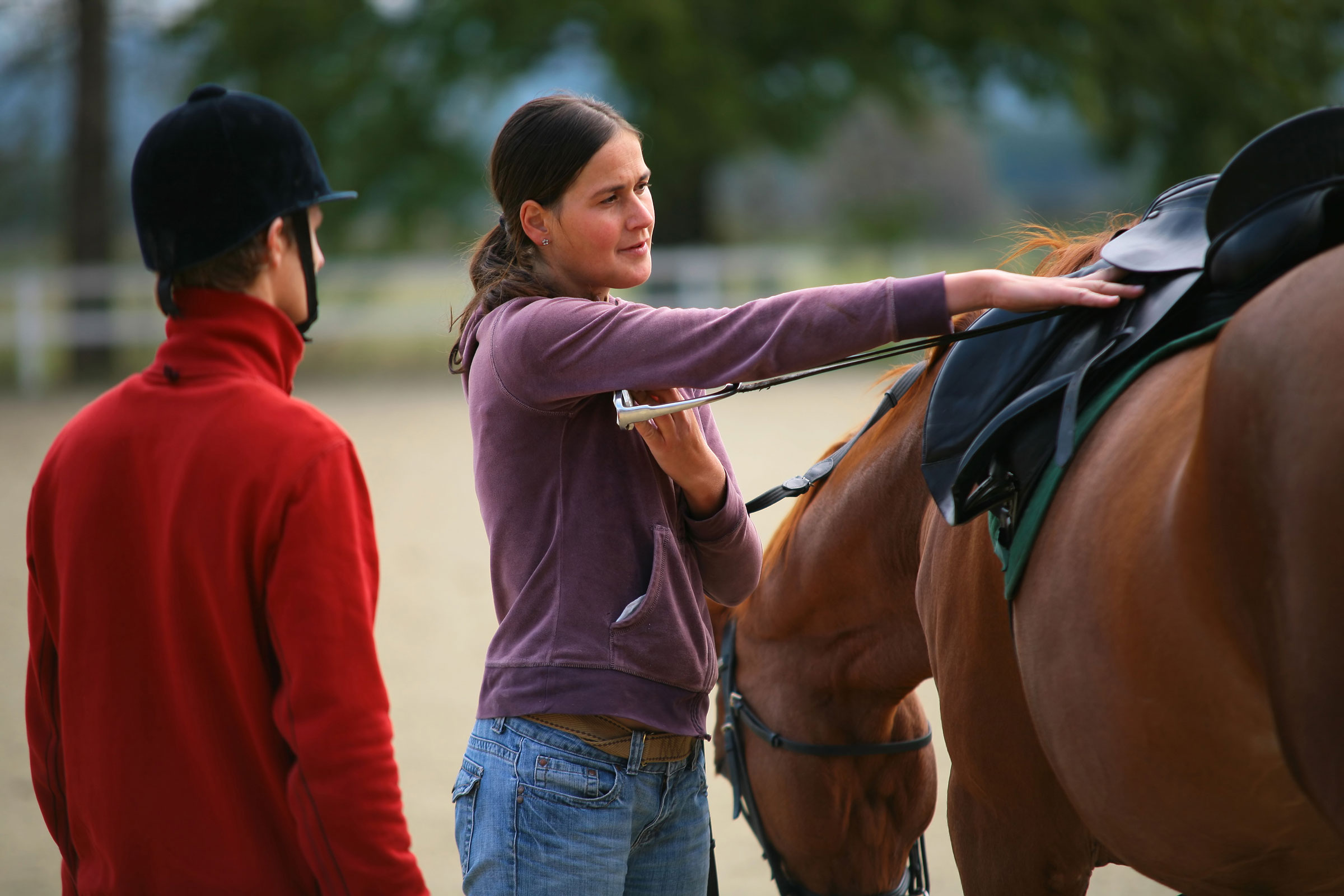 What is CHA Stable Management