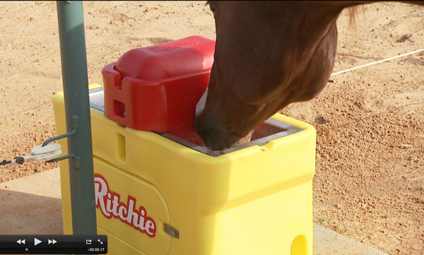 Ritchie Automatic Horse Waterers promo image