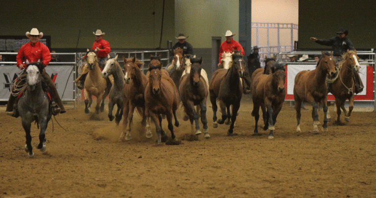 Road to the Horse 2014 Ram Wild Card Showdown Free to the Public promo image