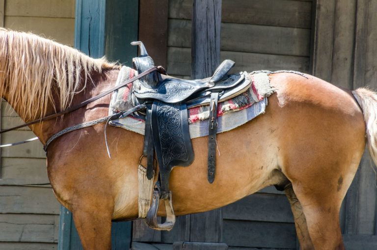 saddle-western-tack-body-of-horse-iStock-Photitos2016-1050695988-2400