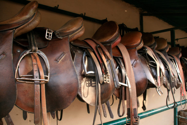 Saddles-English-on-rack-iStock-credit-livetalent-182196528-2400