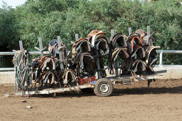 saddles-on-cart-1