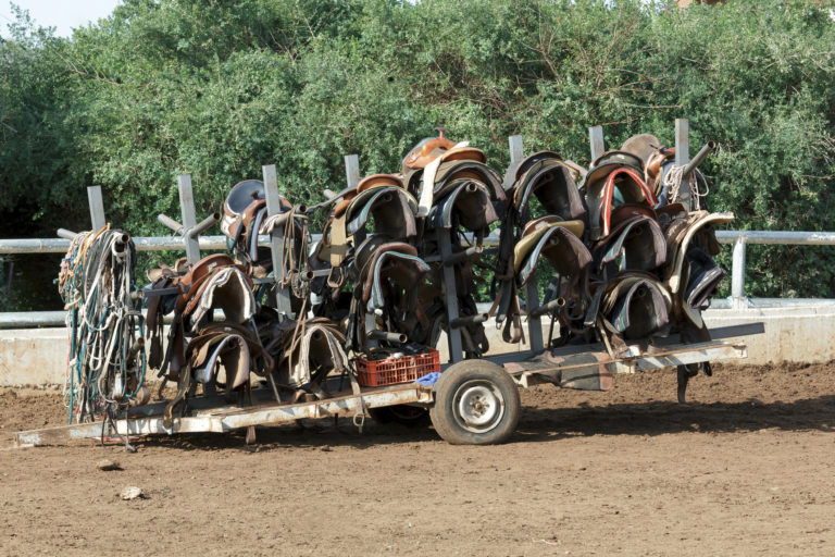 saddles on cart