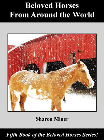 September Book Tour for Equine Author Sharon Miner promo image