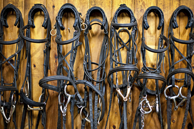 Setting Up Your Own Tack Shop promo image