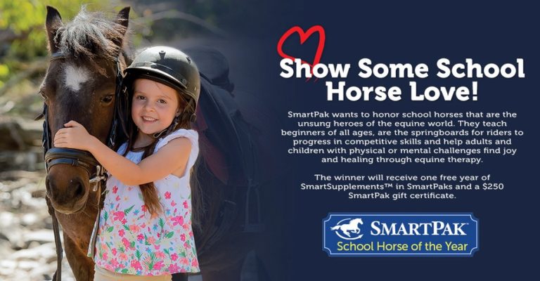Shool Horse of the Year Award Now Open for Nominations promo image