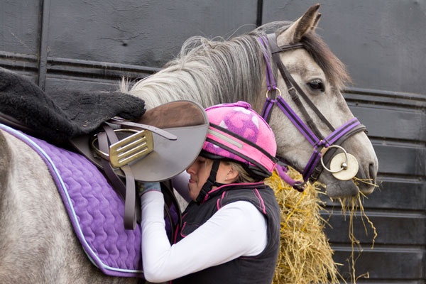 Should You Soak or Steam Horse Hay? promo image