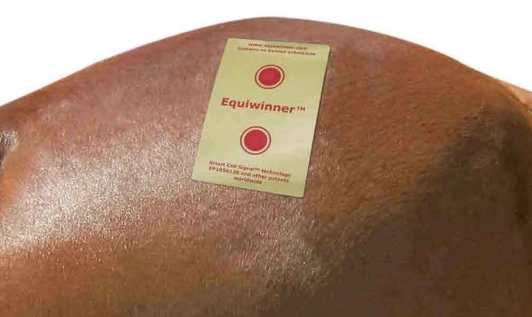 Signal-Health LLC Improves and Updates Equiwinner Tag Line promo image