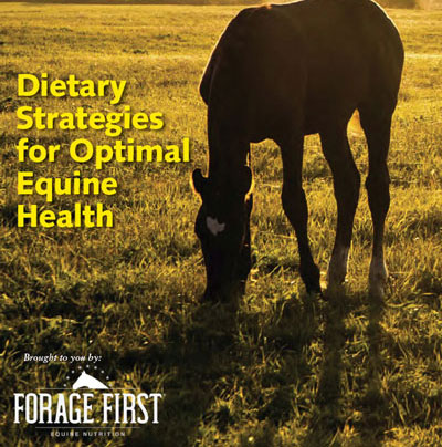 SM-Extra-Vol-3-nutrition-ADM-Forage-First-400-cropped