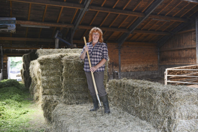 Small Tractors on Horse Farms promo image