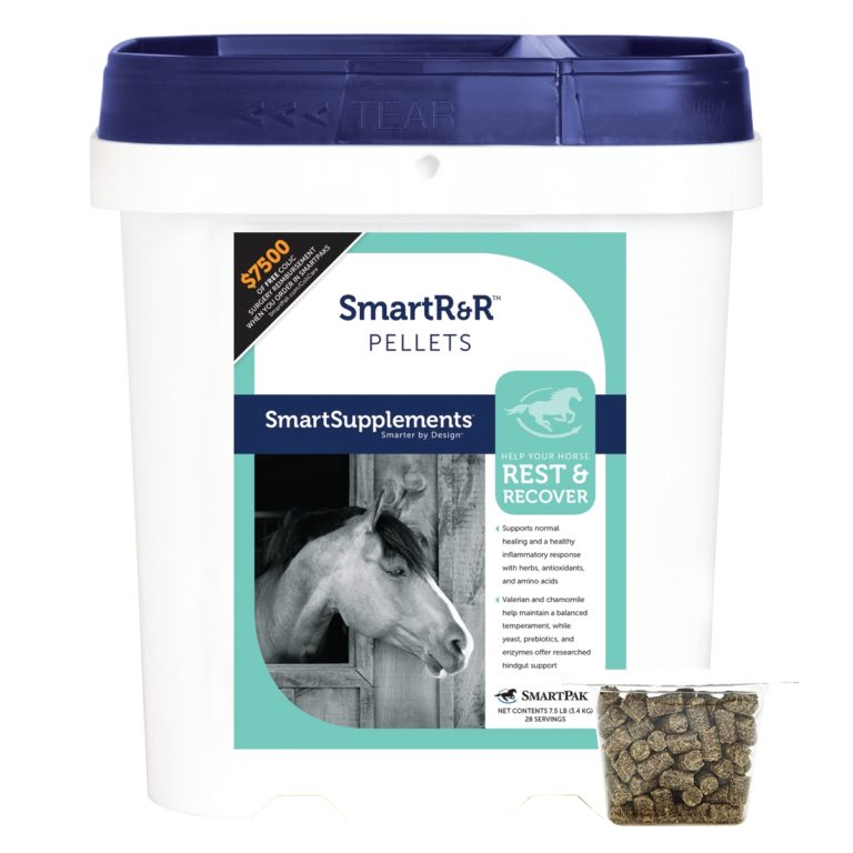 Smarter Support for Horses on Stall Rest promo image