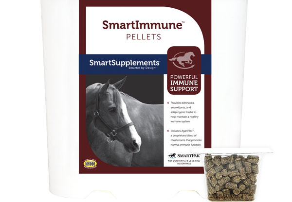 Smarter Support for Horses Under Stress promo image