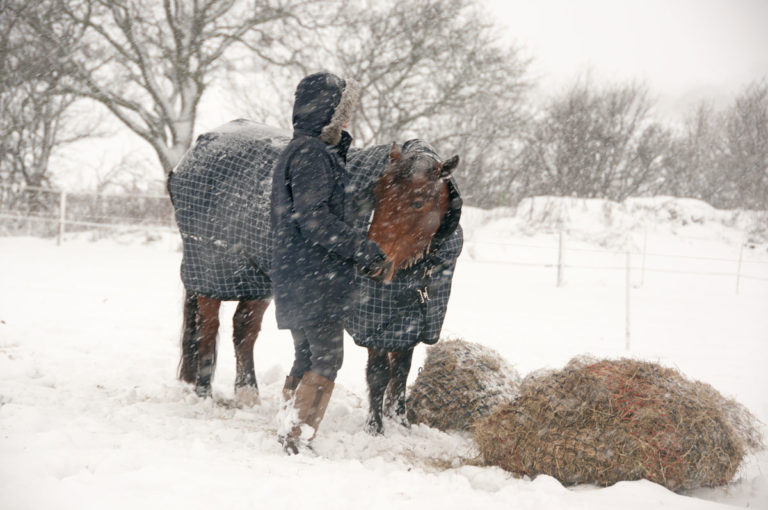 snow-hay-woman-feeding-slow-feeder-hay-net-iStock-Horse Family-892848684-1200