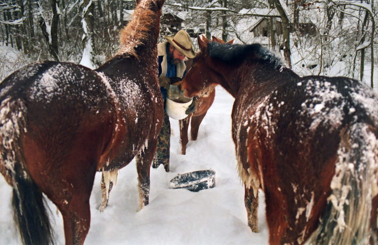 snow horses man feeding iStock-140233595-1800