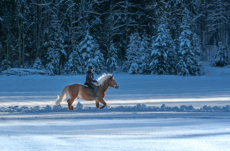 snow-riding-English-iStock-Sitikka-1131094852-2400