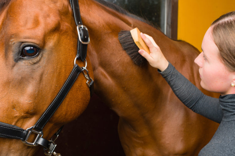 Spring 2015 Stable Management Fees Survey promo image