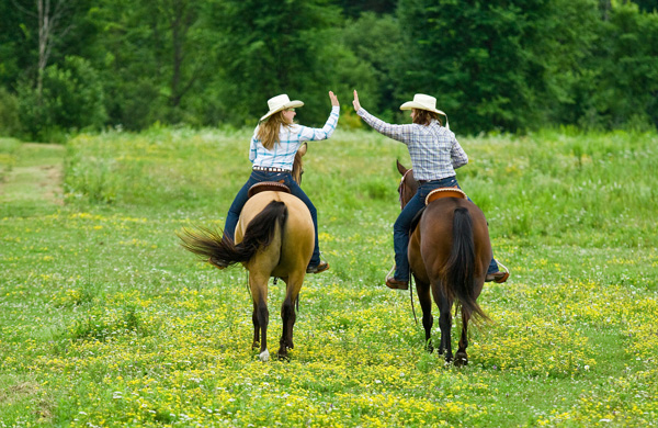 Stable and Farm Marketing 101 promo image