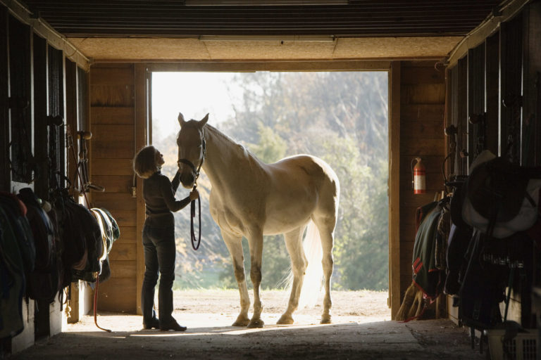 Stable Management 2014 Salary Survey promo image