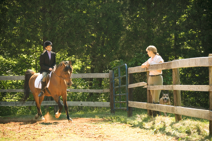 Stable Management Acquired by Active Interest Media’s Equine Network promo image