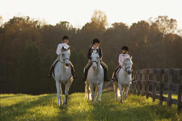 Stable Management Wants Your Help with Family-Owned Business Info promo image