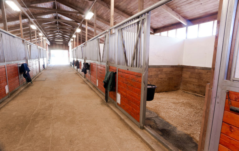 stable-stall-barn-aisle-iStock-466724808-2400