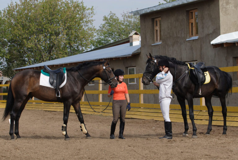 StableManagement