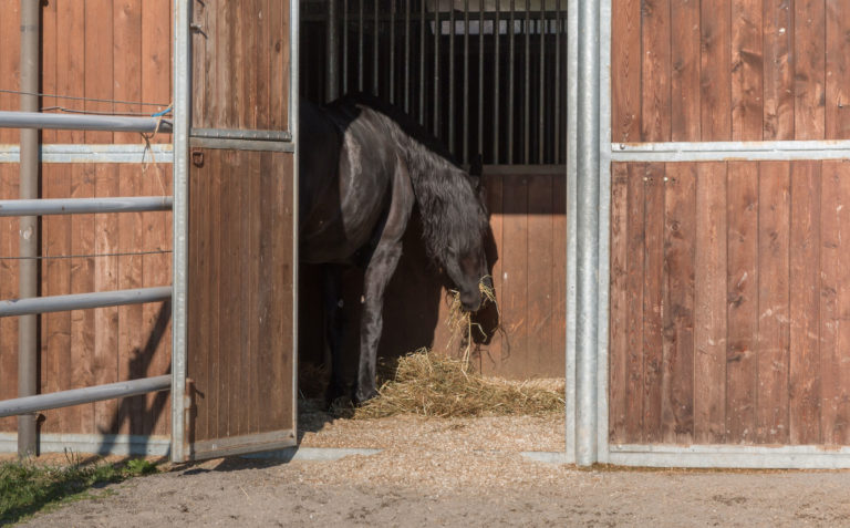 stall-looking-in-from-outside-horse-hay-iStock-Glorez-925786638-2400