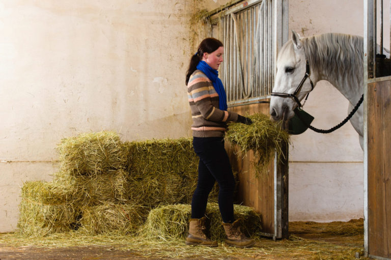 Stalled Horses: Changes in Feeding promo image