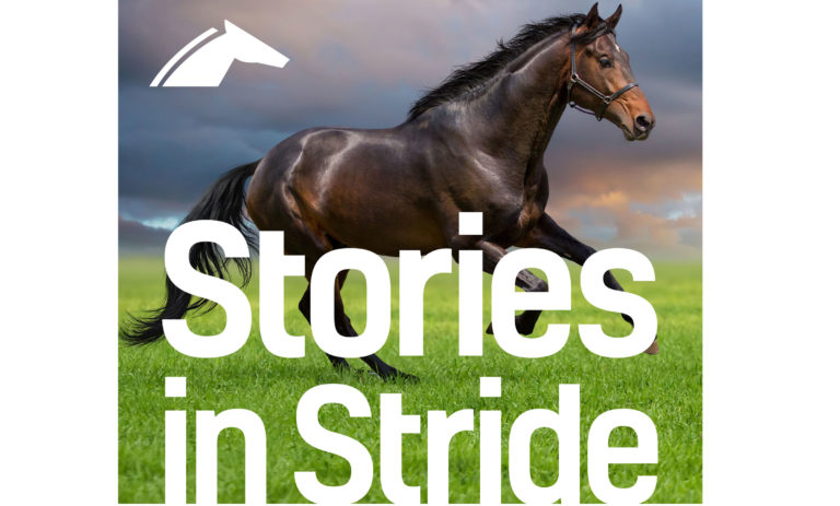 Stories-in-Stride-Album-Cover-Final-2400