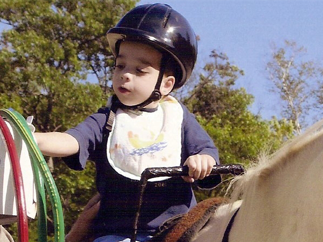 The Horse as Healer promo image
