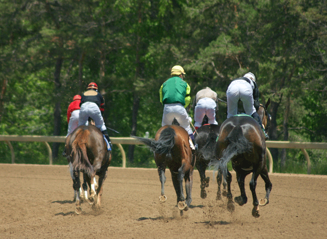 The Jockey Club’s T.I.P