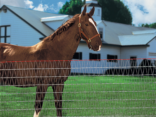 The Latest in Fencing promo image