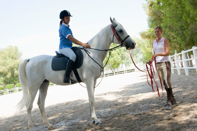 The Pros and Cons of Group, Private and Semi-Private Riding Lessons promo image
