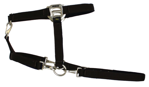 The Versatile Convertible Grooming Halter from Lami-Cell promo image