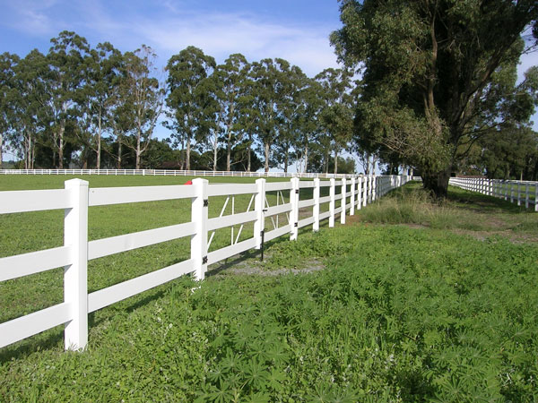 Three-Rail Horse Fencing is Weatherables’ Best-Selling Horse Fence promo image