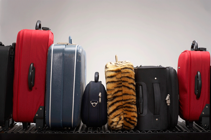 Three Tips to Shed Personal Baggage promo image