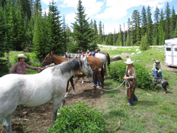 Tips for Riding on Public Lands promo image